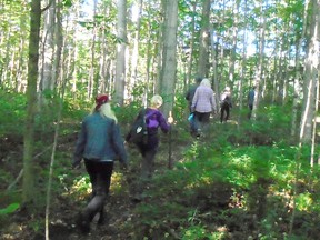 Sam, Paula, Gabi, Rick, Anne and Richard hiking the Maitland Trail on July 21.