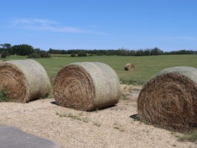Reeve Joe Blakeman said producers are behind in their hay production following the June and July heat wave.