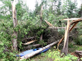 A kayak lies under some trees snapped off during a possible tornado that ripped through a rural portion of Whitewater Region township east of Beachburg Tuesday evening, July 13.