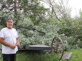 Homeowner Dale Curtis stands near some of the many trees uprooted or snapped off on his property in eastern Whitewater Region along the Ottawa River where a possible tornado struck Tuesday, July 13 around 7:40 p.m.