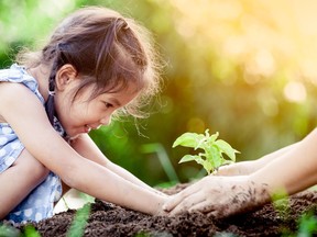 Renfrew County Child Poverty Action Network's Growing at Home program helps children and youth to grow edible gardens at home. Families can still take part in the program this year. To do so contact CPAN on their Facebook page.