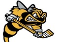 sarnia sting logo