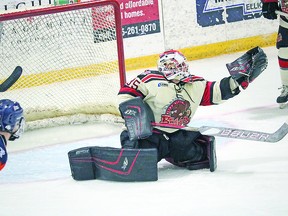 Sault Ste. Marie product Gavin Disano has confirmed his return to the Blind River Beavers of the NOJHL for the upcoming season. HOCKEY NEWS NORTH