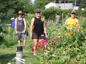City of Sarnia summer students Cage Dwinnell, left, and Evelyn Schleihauf pose with seasonal worker Suzie Macher in the Germain Park community garden as residents tend to some of its 35 plots. A new city policy recently came into effect for community gardens. (Tyler Kula/The Observer)
