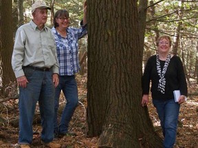 Wallace Hammond, from left, joins his cousin Charity Landon and niece Louise Hammond at the new Hammond Hemlock Slough Reserve near Port Dover. CONTRIBUTED PHOTO