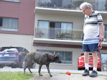 Rayna the dog shakes herself dry in front of owner Don Gionet on Wednesday after retrieving her toy from Nepahwin Lake.