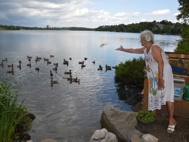 Helen Leblanc tosses a handful of seed to a raft of ducks on Nepahwin Lake on Wednesday.