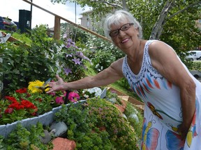Helen Leblanc shows off some of the colourful flowers -- including gerbera daisies, clematis and petunias -- thriving in a community bed outside the Panoramic apartment building on Paris Street. Jim Moodie/Sudbury Star