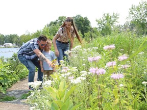 Dominic Francavilla and Cassandra Regimbald show their son, Alisandro, 5, plants and flowers near the Ramsey Lake shoreline at Science North in Sudbury, Ont. on Monday July 26, 2021. John Lappa/Sudbury Star/Postmedia Network