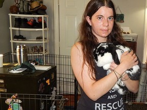Sweetie's Rescue's Ashley Mulvihill holds stray rabbit Sophia in her hands. The rabbit rescue is in need of more volunteers, donations and foster homes, as the pandemic has had a profound impact on the organization as well as the local rabbit population.Carl Hnatyshyn/Sarnia This Week