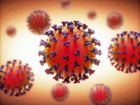 COVID-19 VIRUS FILE IMAGE/POSTMEDIA NETWORK