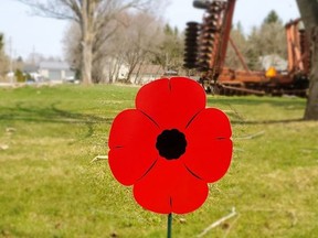 Tillsonburg Lions Club is taking orders for lawn poppies this month to support the Legion Poppy Fund. The plastic poppies will be delivered in October and can be displayed on lawns, in gardens and in windows in November. All proceeds go to veterans. (Submitted)