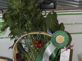 The Cochrane Fall Fair will be back in September for exhibitors, so get ready with your entries!.TP.jpg
