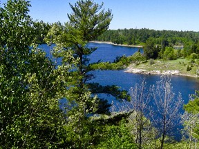 This is bald eagle country, known to locals as Rideout Bay, part of the Winnipeg River system. From this location at its height I could scope three eagle nests and one osprey nest all just few kilometres from home. I love Kenora!