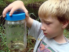 A nearby temporary pond fascinates grandson Quinn as he studies some of its residents (in this case tiny chorus frogs).