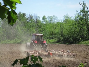 Jason working his land with his 5240 Case IH. Grace Vanderzande