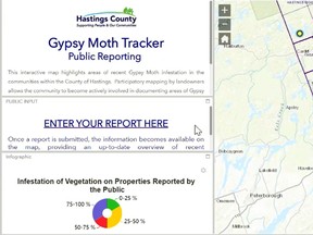 A preview of Hastings County's soon-to-be-released moth-tracking application shows what users are expected to see when reporting gypsy moth infestations.