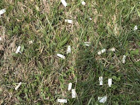 The city has passed a bylaw setting out fines for unsightly yards. File Photo