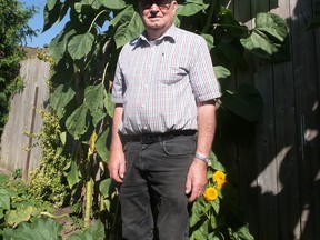 Don Martin of Tillsonburg measured his tallest sunflowers, and they've grown to be nearly 10 feet this summer. Martin, who will be celebrating his 93rd birthday on Aug. 21, also has much smaller sunflowers which he grows in his garden to feed birds. (Chris Abbott/Norfolk and Tillsonburg News)
