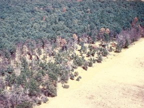 Foresters in Norfolk County and elsewhere in Ontario are bracing for the arrival of a fungal blight that is killing oak trees in the eastern half of the United States. This aerial photo from Wisconsin illustrates the impact on a woodlot once it is infected with oak wilt. – USDA Forest Service photo