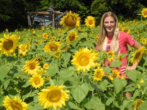 The Heritage Village at the Backus Heritage Conservation Area north of Port Rowan is usually a beehive of activity with special events planned most weekends during the summer. That’s not the case for a second consecutive year due to COVID-19 but the village remains open to self-guided walking tours. Here, Cori Carson, of Walsh, checks out the sunflower maze in the Heritage Village -- a new feature that was planted this spring. – Monte Sonnenberg
