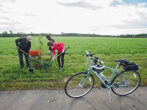 CAA SCO associates teamed with Forests Ontario to plant trees at Lynde Shores Conservation Area in Whitby. (CNW Group/Forests Ontario)