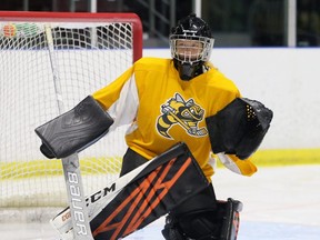 Goalie Taya Currie plays at the Sarnia Sting's orientation camp at Progressive Auto Sales Arena in Sarnia, Ont., on Monday, Aug. 30, 2021. Mark Malone/Chatham Daily News/Postmedia Network
