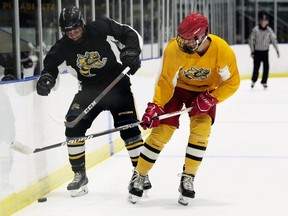 Jaxon Priddle, left, and Owen Thomas battle for the puck during a scrimmage at the Sarnia Sting's orientation camp at Progressive Auto Sales Arena in Sarnia, Ont., on Monday, Aug. 30, 2021. Mark Malone/Chatham Daily News/Postmedia Network