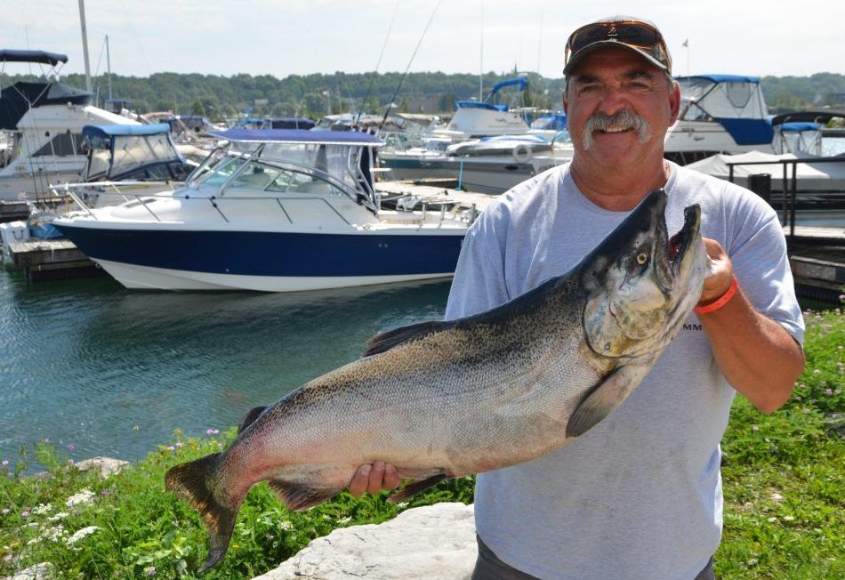 Owen Sound man finds himself at top of Salmon Spectacular leaderboard