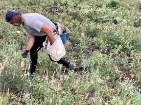 Grey-Bruce native Kilty Elliott plants trees in July during an attempt at breaking a world record for most trees planted in a 24-hour period. SUPPLIED