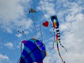 Kites flying at 2012 Toronto Windfest, which was organized by Dave Meslin. He's planning a similar kite celebration in Grey Highlands Sept. 18 and 19. (Carlos Simoes photo)