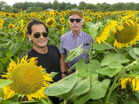 London surgeon Patrick Luke and Jay Curtis of Elgin County stand Wednesday in a two-hectare plot of sunflowers that Curtis planted to raise awareness and funds for minimally invasive prostate cancer therapies at London Health Sciences Centre. (MIKE HENSEN, The London Free Press)
