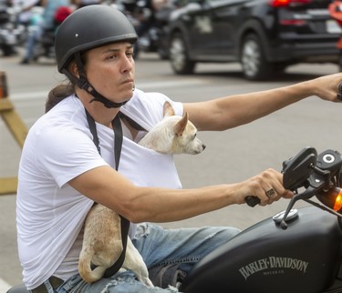 Not sure this is the best way to transport your pooch on a bike, but it looks practiced air the Friday the 13th biker rendezvous in Port Dover.  
(Mike Hensen/Postmedia Network)