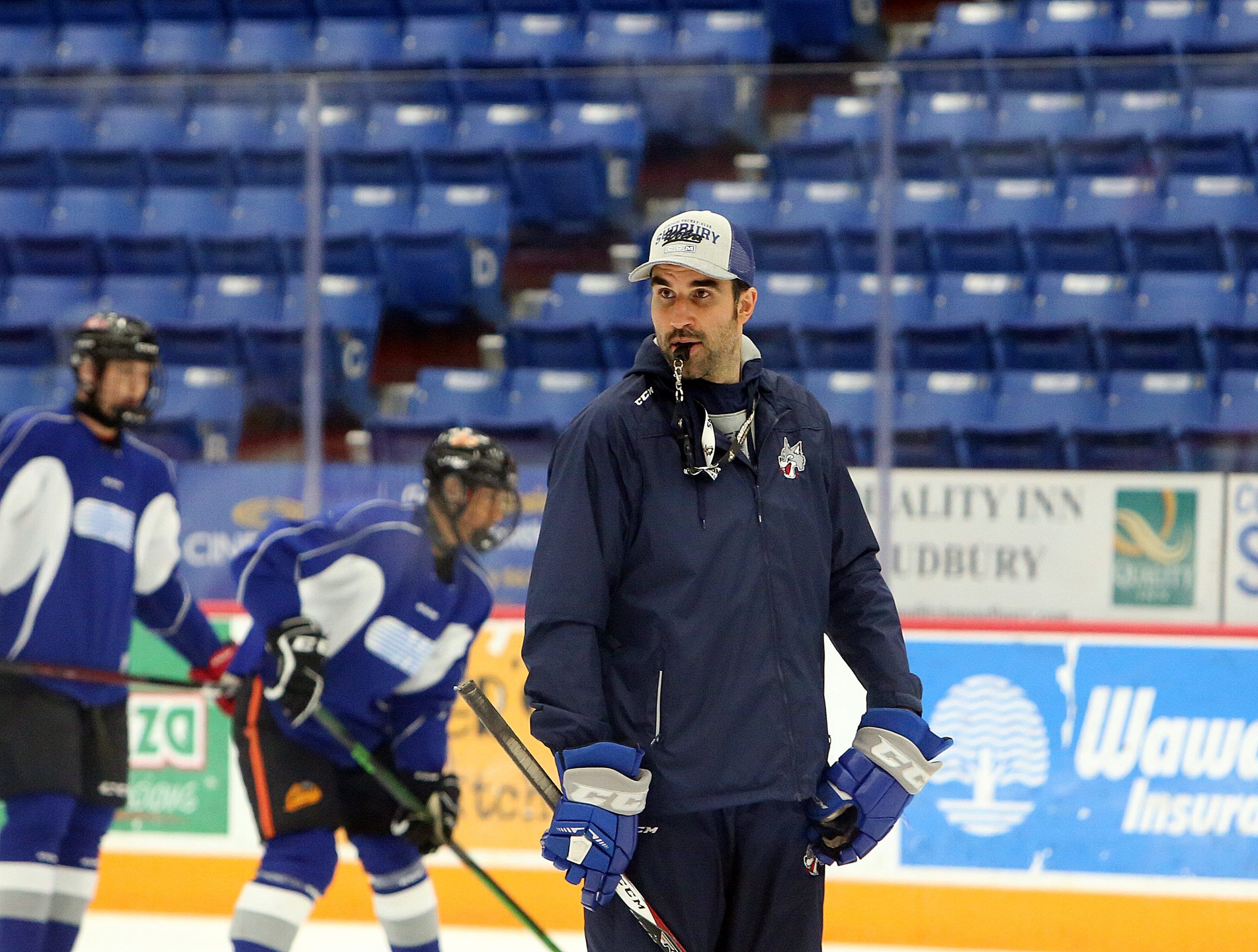 Stortini To Join AHL Team, Won’t Return Behind Sudbury Wolves Bench In ...