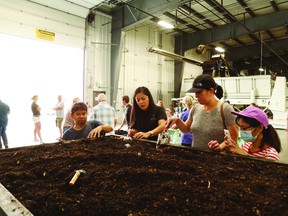 Annelida Organics hosted tours on Aug. 14 and 15 for Open Farm Days. (Kajal Dhaneshwari)