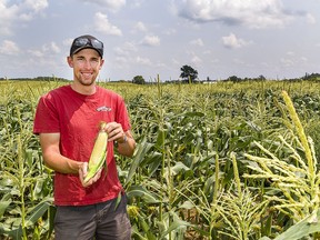 Andrew Pate of Brantwood Farms on St. George Road, north of Brantford says he is a lot happier with this year's corn crop compared to last year at this time, when extensive irrigation was needed to keep crops alive during a dry season.