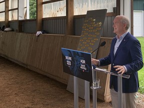 Conservative Leader Erin O'Toole announces a mental health action plan during a campaign stop Wednesday morning in Brant County at Amani Acres, an equine therapy centre. Vincent Ball