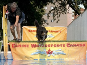 Dazzle, an Australian Shepherd, prepares to spring off the dock at a Canine Watersports Canada event in Brockville. The first PemBARK , dock jumping competition and dog party hosted by the City of Pembroke and Canine Watersports Canada is scheduled to take place at Riverside Park in Pembroke on July 2 and 3. Ron Zajac