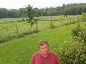 Brian Wright, spokesperson for the Chatham-Kent Landowners Association, who has a large woodlot on his Bothwell farm, knows a woodlot preservation bylaw won't make everyone happy. He says he just wants Chatham-Kent council to come up with something that is fair. Ellwood Shreve/Postmedia Network