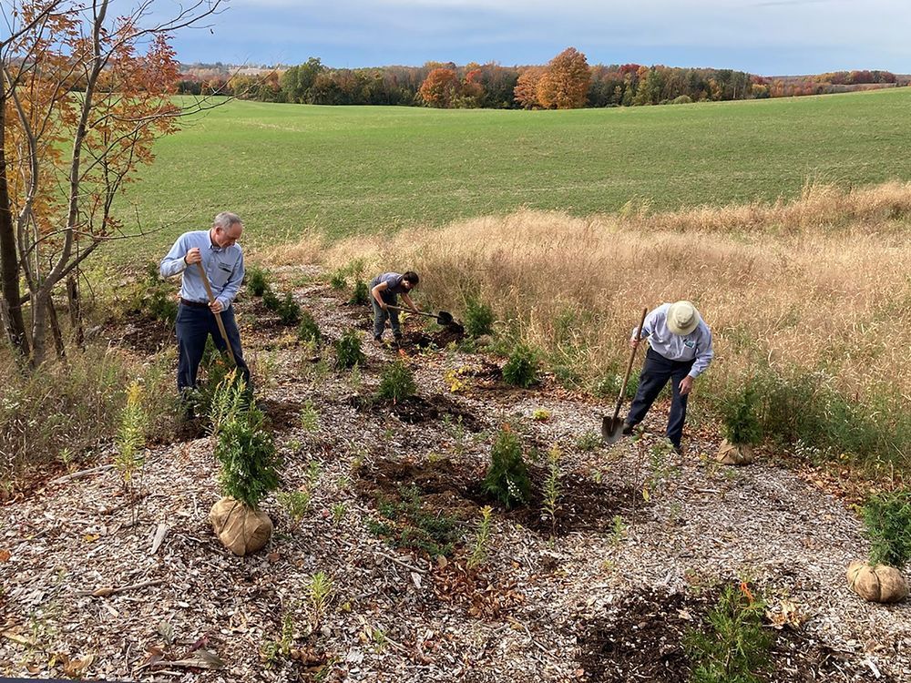 Helpful tips for fall tree planting success Clinton News Record