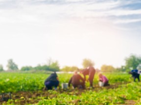 CO.farm labour