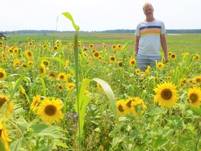 Tulip Lane Farm of Rick Kaptein Jr. Submitted