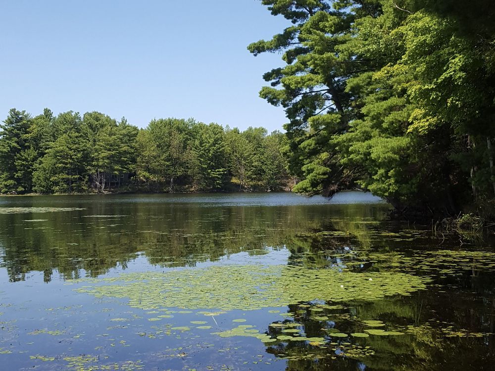 Nature Conservancy adds 'missing piece' to Frontenac Arch lands
