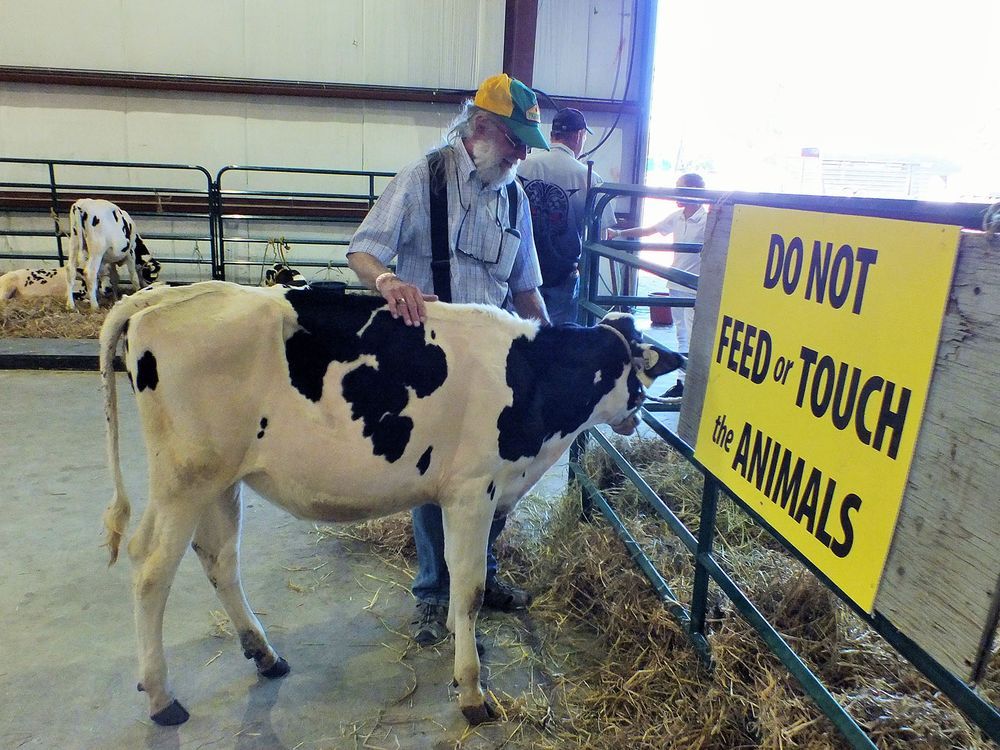 Massey Fair returns despite pandemic | Sault This Week