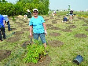 Residents participated in tree planting at Leduc Lions Park on Aug. 14 for Arbour Day. (Lisa Berg)