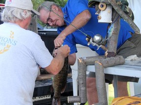 Greater Petawawa Civitan Club president John VandenBaar hands a 'big fish' candidate to Civitan past-president Brian Miner for weighing during the Battle of the Bass fishing tournament in Pembroke on Saturday, Aug. 14.