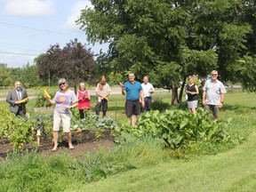 Some of the volunteers and officials involved in the Pembroke Carefor Community Garden stand for a group photo in the dedicated food bank garden that is part of the initiative. In the photo from left, community garden committee co-chairman Deputy Mayor Ron Gervais, Mary Mercer, Ruth Molnar, Will Kennelly, St. Joseph's Food Bank vice-president Rene Lachapelle, Pembroke Parks and Recreation manager Ron Conroy, Carefor director of operations and programs Sharon Maye and community garden committee co-chairman Coun. Brian Abdallah. Other volunteers involved in the food bank garden but not in the photo include Sister Collette Larmond, Kirsten Gervais, Kaylin Gervais, Kevin Cliché, and Veronica Cuervo. Anthony Dixon