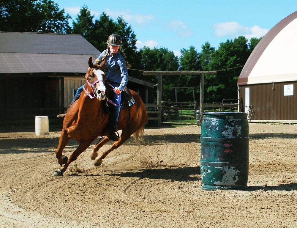 Local teens behind reins of buckle series horse show Owen Sound Sun Times