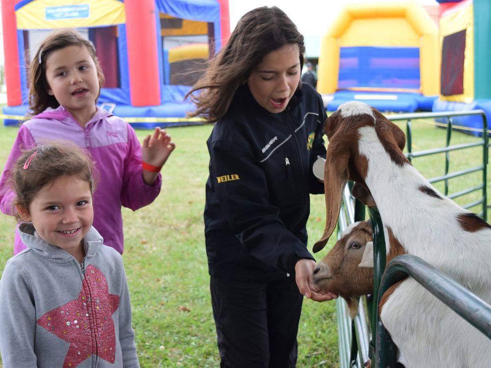 Seaforth Fall Fair will go ahead, will be held Sept. 1619 Seaforth