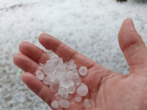 Hail hit parts of Port Dover and Port Ryerse on Sunday damaging crops and resulting in several posts on social media including this photo provided by Caroline Townsend. The hail fell for about three minutes in some areas which enabled people to create snow-like footprints on the first day of August 2021.